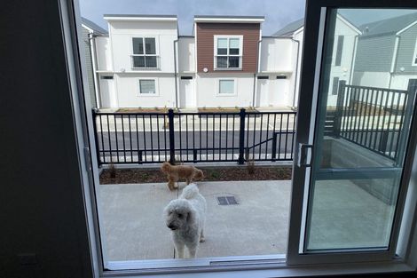 Photo of property in 39/30 Adventure Drive, Whitby, Porirua, 5024