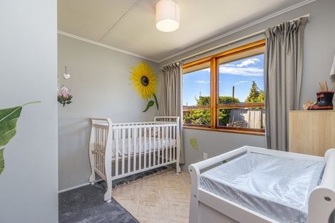 Photo of property in 91 Howick Road, Redwoodtown, Blenheim, 7201