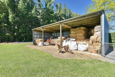 Photo of property in 606 Pesters Road, West Eyreton, Rangiora, 7475