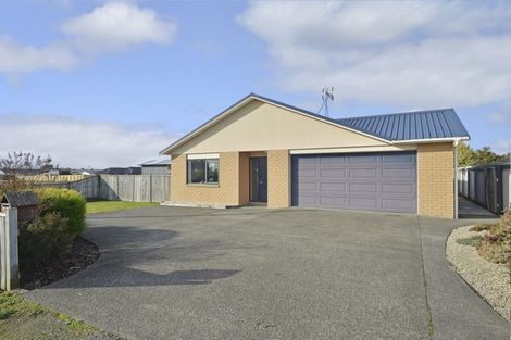 Photo of property in 43 Solway Crescent, Solway, Masterton, 5810