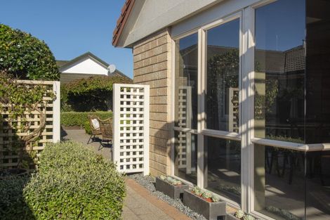 Photo of property in 16 Elderton Avenue, Pyes Pa, Tauranga, 3112