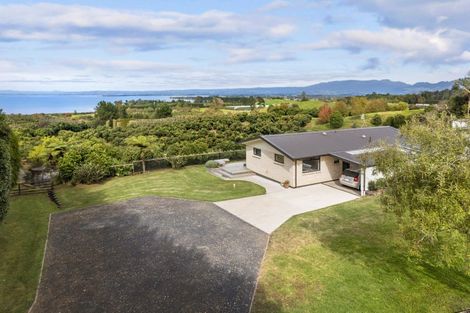 Photo of property in 274 Kauri Point Road, Tahawai, Katikati, 3170