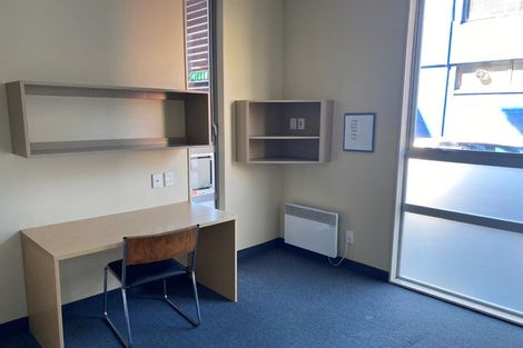 Photo of property in Hanson House, 1a/27 Hanson Street, Mount Cook, Wellington, 6021