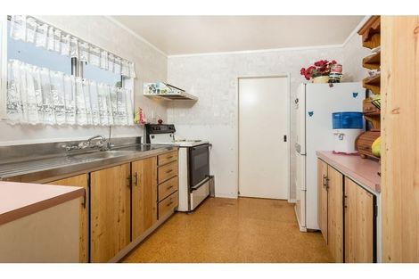 Photo of property in 48 Hinerau Street, Henderson, Auckland, 0612