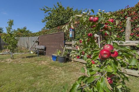 Photo of property in 12 Oak Tree Lane, Rolleston, 7614