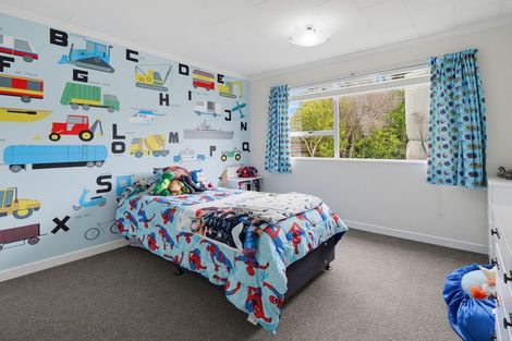 Photo of property in 105 Oxford Street, Ashhurst, 4810