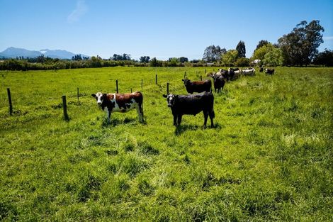 Photo of property in 122 Mill Road, Kaikoura Flat, Kaikoura, 7300