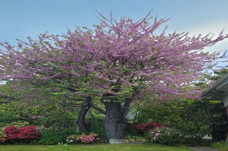 Photo of property in 10a Park Lane, Highfield, Timaru, 7910