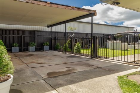 Photo of property in 3/307 Avenue Road West, Hastings, 4122