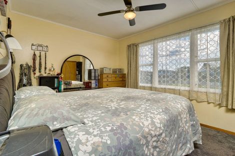 Photo of property in 12 Woodhouse Place, Pirimai, Napier, 4112