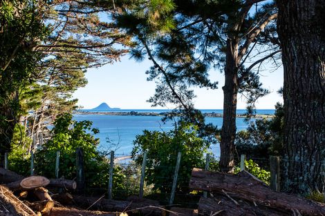 Photo of property in 107 Ohiwa Loop Road, Waiotahe, Opotiki, 3198