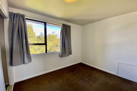 Photo of property in 20 Dobson Street, Spreydon, Christchurch, 8024