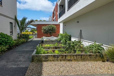 Photo of property in 3/81g Mapou Road, Hobsonville, Auckland, 0616