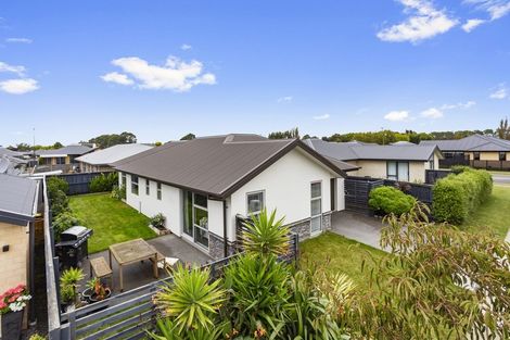 Photo of property in 13 Winterbourn Street, Kaiapoi, 7630