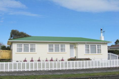 Photo of property in 12 Cornwall Street, Levin, 5510
