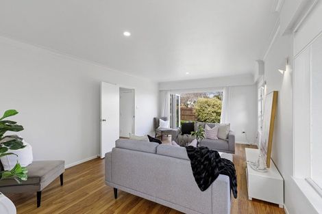 Photo of property in 162 Queen Street West, Levin, 5510