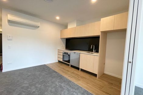 Photo of property in 211/428 Dominion Road, Mount Eden, Auckland, 1024