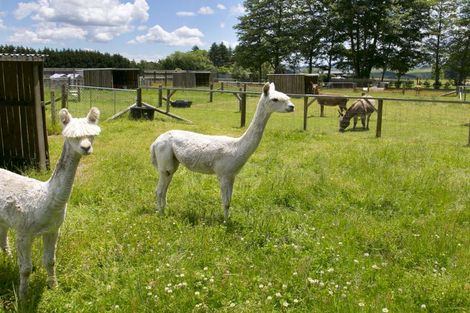 Photo of property in 747 State Highway 5, Wairakei, Taupo, 3384