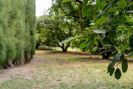 Photo of property in 93 Te Puna Quarry Road, Minden, Tauranga, 3179