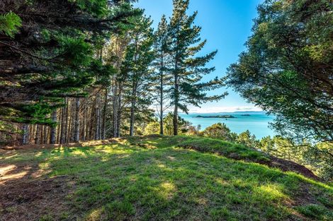 Photo of property in 200 Cowes Bay Road, Waiheke Island, 1971