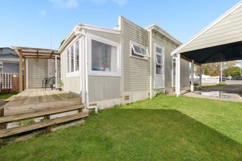 Photo of property in 59a Clarke Street, Gate Pa, Tauranga, 3112
