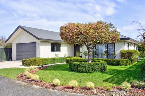 Photo of property in 17 Timms Place, Kuripuni, Masterton, 5810