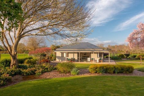 Photo of property in 18 Amber Lane, Karapiro, Cambridge, 3494