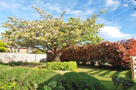 Photo of property in 57 Kent Street, Marchwiel, Timaru, 7910