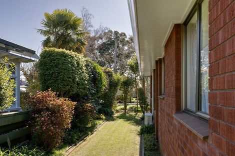 Photo of property in 78b Sixth Avenue, Tauranga, 3110