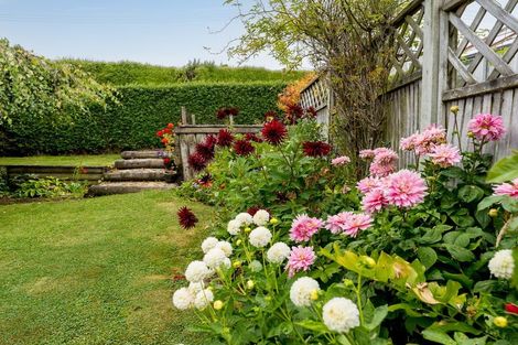 Photo of property in 46a Kenmure Road, Belleknowes, Dunedin, 9011