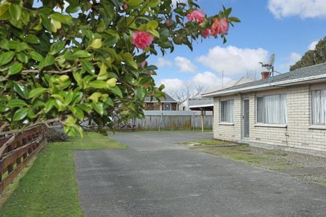 Photo of property in 4/297 Ruahine Street, Terrace End, Palmerston North, 4410