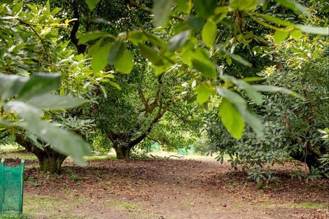 Photo of property in 93 Te Puna Quarry Road, Minden, Tauranga, 3179