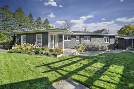 Photo of property in 42 Iona Road, Havelock North, 4130