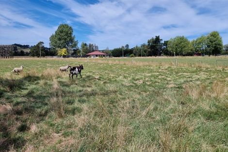 Photo of property in 6 Wellington Street, Hawarden, 7385