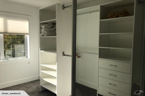 Photo of property in 38 Tuarangi Road, Grey Lynn, Auckland, 1021