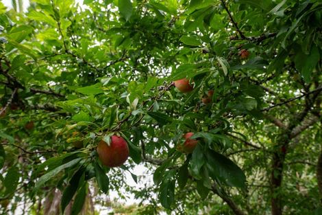 Photo of property in 8b Argus Street, Sunnybrook, Rotorua, 3015