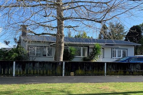 Photo of property in 197 Galloway Street, Hamilton East, Hamilton, 3216