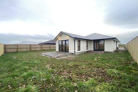 Photo of property in 75 Henshaw Street, Woodend, 7610