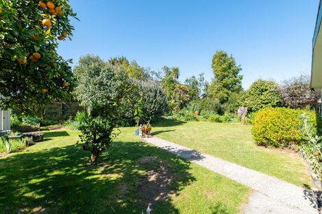 Photo of property in 14 Iles Road, Lynmore, Rotorua, 3010