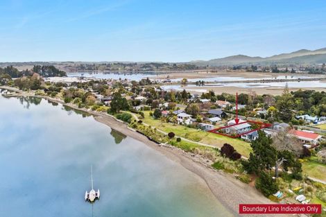 Photo of property in 91 Trewavas Street, Motueka, 7120