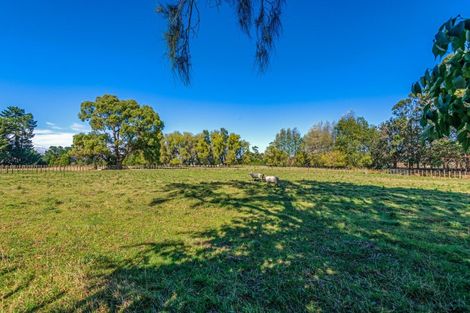 Photo of property in 39 Old Kips Road, Ashhurst, Palmerston North, 4470