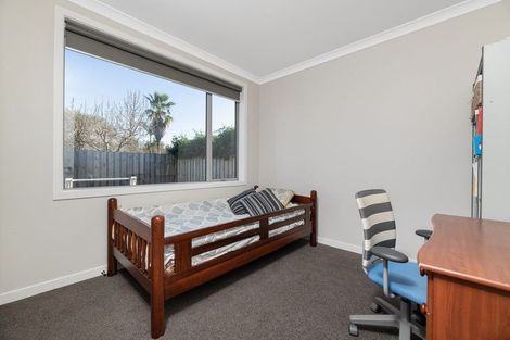 Photo of property in 50c Sixteenth Avenue, Tauranga South, Tauranga, 3112