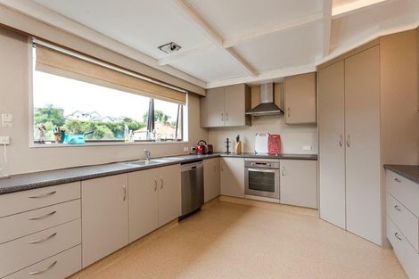 Photo of property in 36 Littlebourne Road, Roslyn, Dunedin, 9010