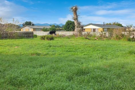 Photo of property in 13b Spring Street, Foxton, 4814