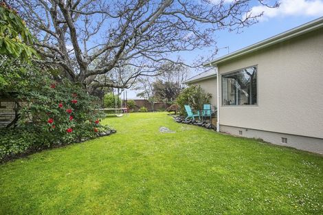 Photo of property in 5 Duke Street, Mosgiel, 9024