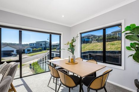Photo of property in 117 John Burke Drive, Aotea, Porirua, 5024