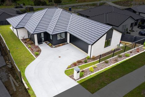 Photo of property in 19 Hayward Place, Ohauiti, Tauranga, 3112