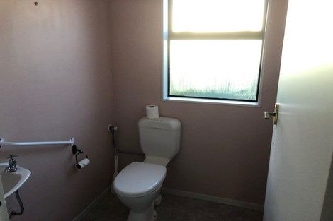 Photo of property in 509 Brunswick Street, Mahora, Hastings, 4120