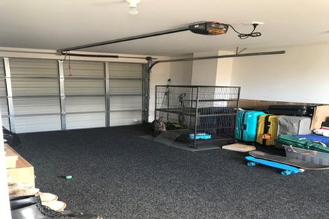 Photo of property in 463 Barbadoes Street, Edgeware, Christchurch, 8013