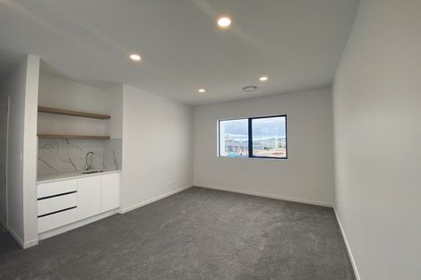 Photo of property in 1 Pukeko Road, Hobsonville, Auckland, 0616